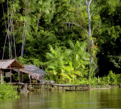 Fazenda vender no Amazonas. Presidente Figueiredo