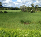 Fazenda para venda no Ceará - Maranguape.