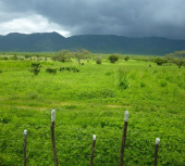 Terreno para loteamento a venda no Ceará