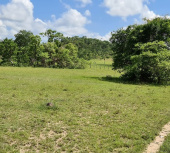 Fazendas para vender no Maranhão - Caxias. Codó-MA e região de Caxias.
