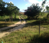 Fazenda para vender em Maranguape