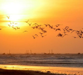 Terreno para vender na praia de Bitupitá, Barroquinha, Ceará