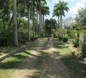 Sítio para vender na serra de Maranguape no Ceará