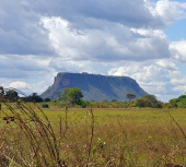 Fazenda para vender no  Sul do Maranhão