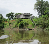 Fazenda para vender no Amazonas - avaliamos e vendemos sua propriedade.