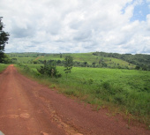 Fazenda para vender em Apuí e Jutaí - Amazonas